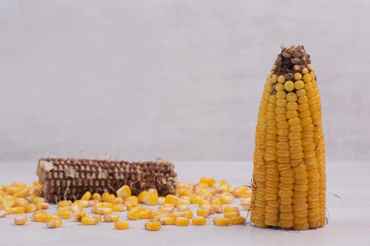 Citrus Zest, Cheese Rinds, and Corn Cobs: The Flavour Scraps Worth Keeping
