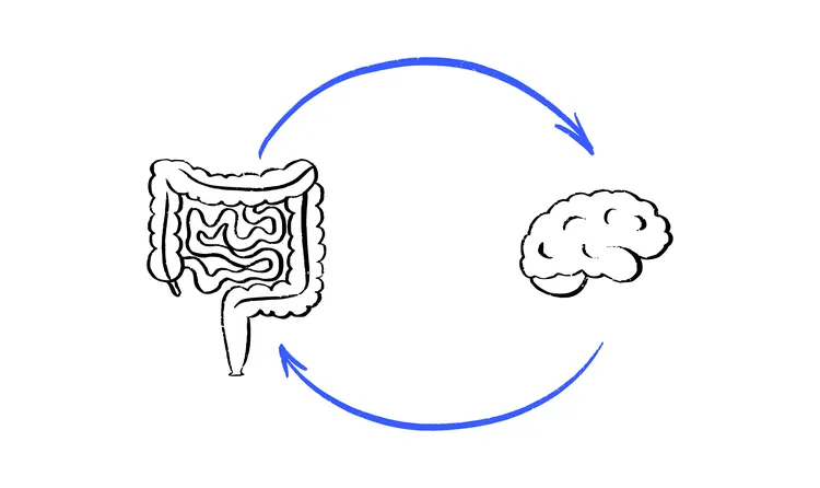 The Gut-Brain Connection: What You Cook Affects How You Feel