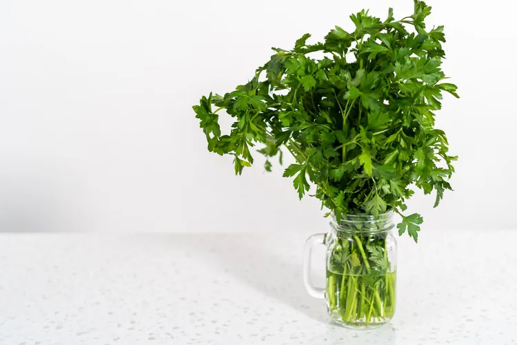 How to Store Fresh Herbs So They Last More Than Three Days