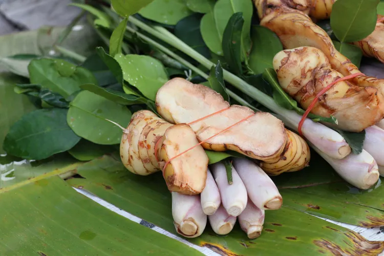 Malaysian Pantry Essentials: 15 Ingredients Every Recipe Needs
