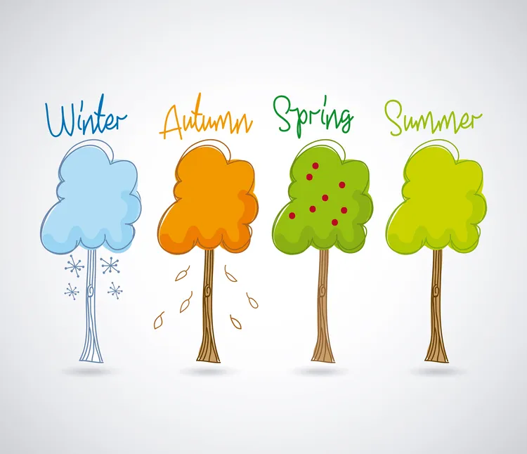 Seasonal Cooking for Mood: Eating With the Rhythm of the Year