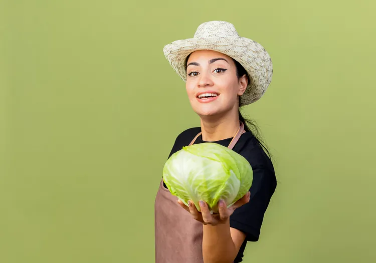 How to Use Up a Full Head of Cabbage When You Live Alone