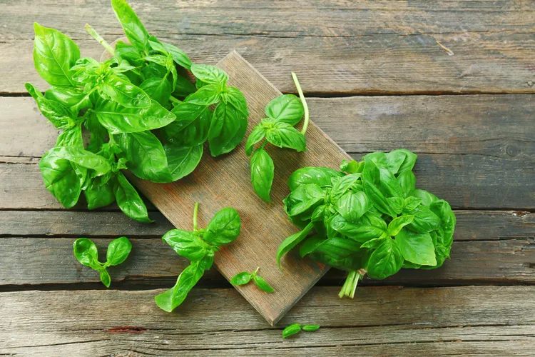 Basil Glut Guide: How to Grow More, Store It Right, and Cook Through a Bumper Harvest