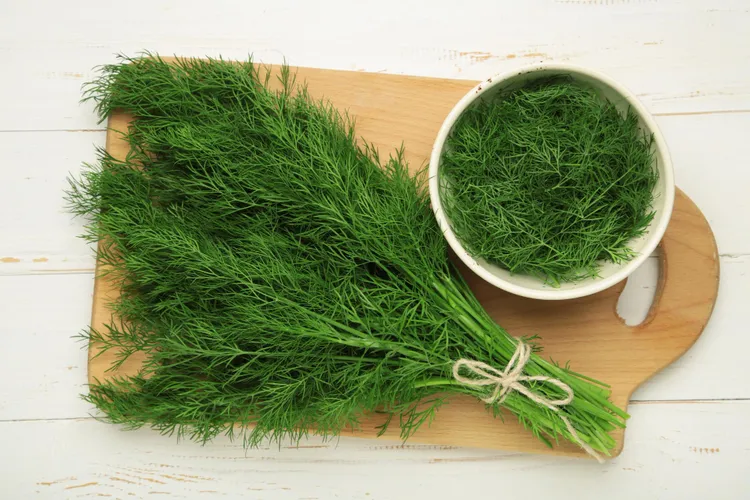 Dill: Growing, Pairing, and Cooking Beyond Pickles