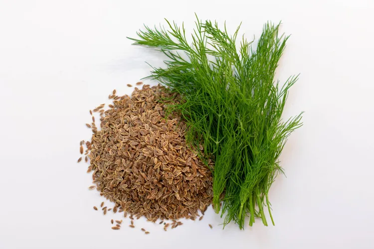 Dill Seed vs Dill Weed: What's the Difference in Cooking