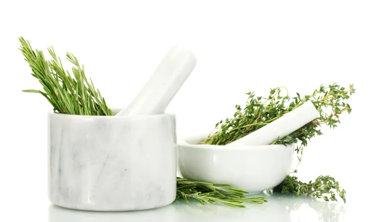 Sage Substitutes: What to Use When You're Out