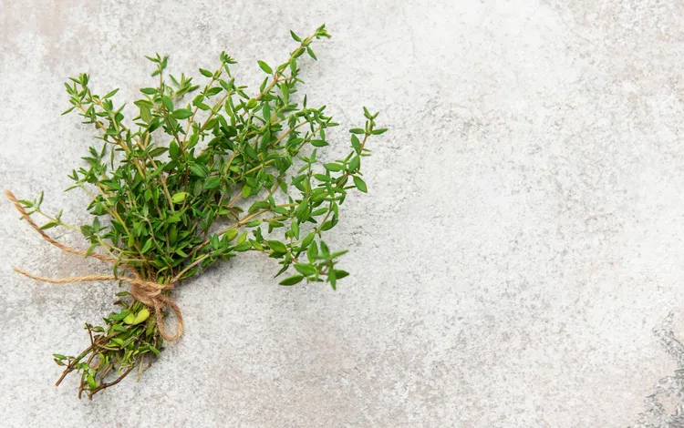 Thyme: The Complete Guide to Growing and Cooking With It