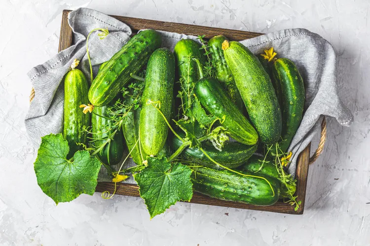 Cucumber Nutrition: Hydration, Vitamin K, and What's in the Skin