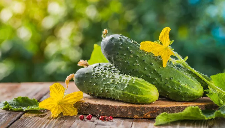 The Food Science of Cucumbers: Cucurbitacins and Crunch