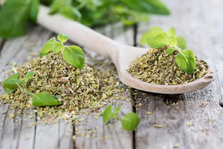 Oregano: Fresh vs Dried and How to Use Both Correctly