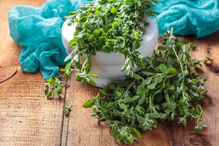Oregano Substitutes: What to Use When You're Out