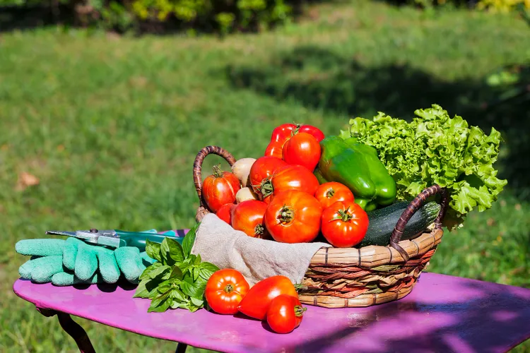 How to Cook With What You Grow: A Season-by-Season Guide