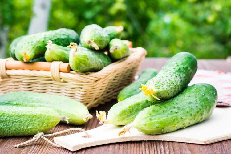 Cucumber Overload: What to Make When You Have Too Many Cucumbers