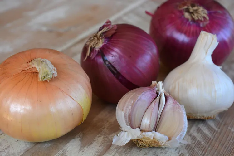 Cooking With Garlic and Onions After Harvest: Curing and Kitchen Use