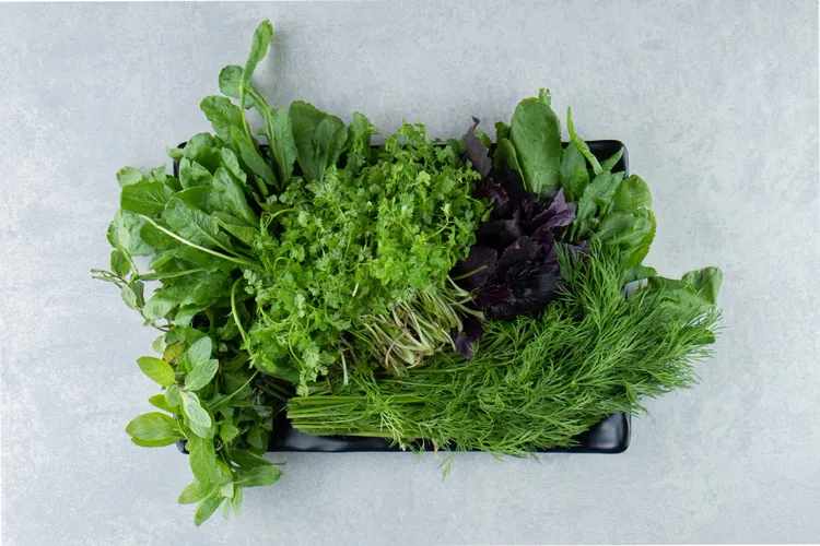 What to Do With Fresh Herbs Before They Bolt or Die Back